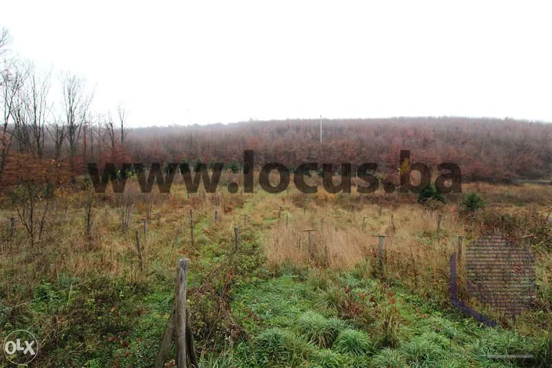 LOCUS prodaje: Zemljište, 4.727m2, Gladno Polje 2
