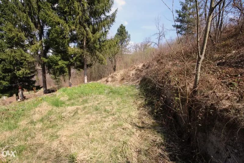 Vikendica u Busovači, Bare 1
