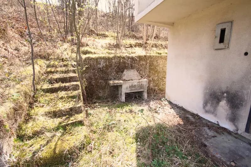Vikendica u Busovači, Bare 2
