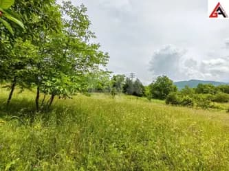 Kuća 150 m2 sa okućnicom 4040 m2 - KAKANJ 11