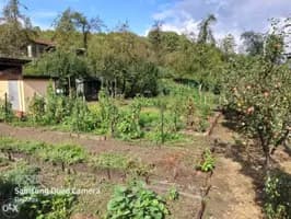 Kuća na opštini Srbac - 300 m2 1