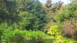 Plac 1300m2,Slatina 2