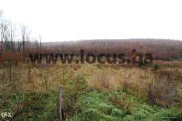 LOCUS prodaje: Zemljište, 4.727m2, Gladno Polje 11
