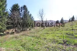 LOCUS prodaje: Zemljište, 4.727m2, Gladno Polje 20