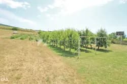 m2: Breza, Kuća 160m2 na parceli 6132m2 sa voćnjakom 6