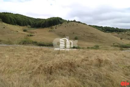 PRO COST | Zemljište Šabići, Trnovo 8