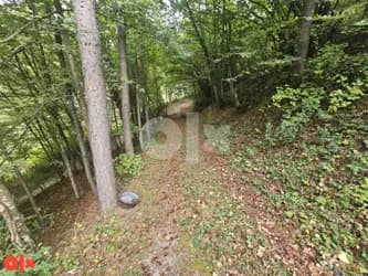 Vikendica i zemljiste Krupac - Karalici Istocna Ilidza 4