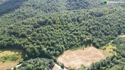 Zemljište Pale Gornja Prača 24030 m2 1