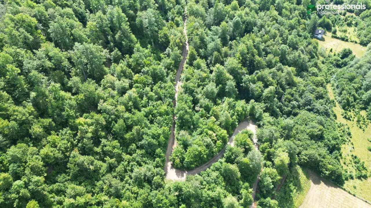 Zemljište Pale Gornja Prača 24030 m2 4 Zemljište Pale Gornja Prača 24030 m2 4