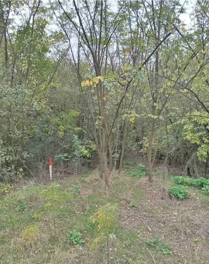 Plac Devojački Bunar 1 Plac Devojački Bunar 1