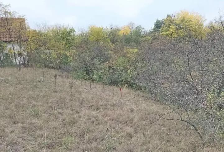 Plac Devojački Bunar 2 Plac Devojački Bunar 2